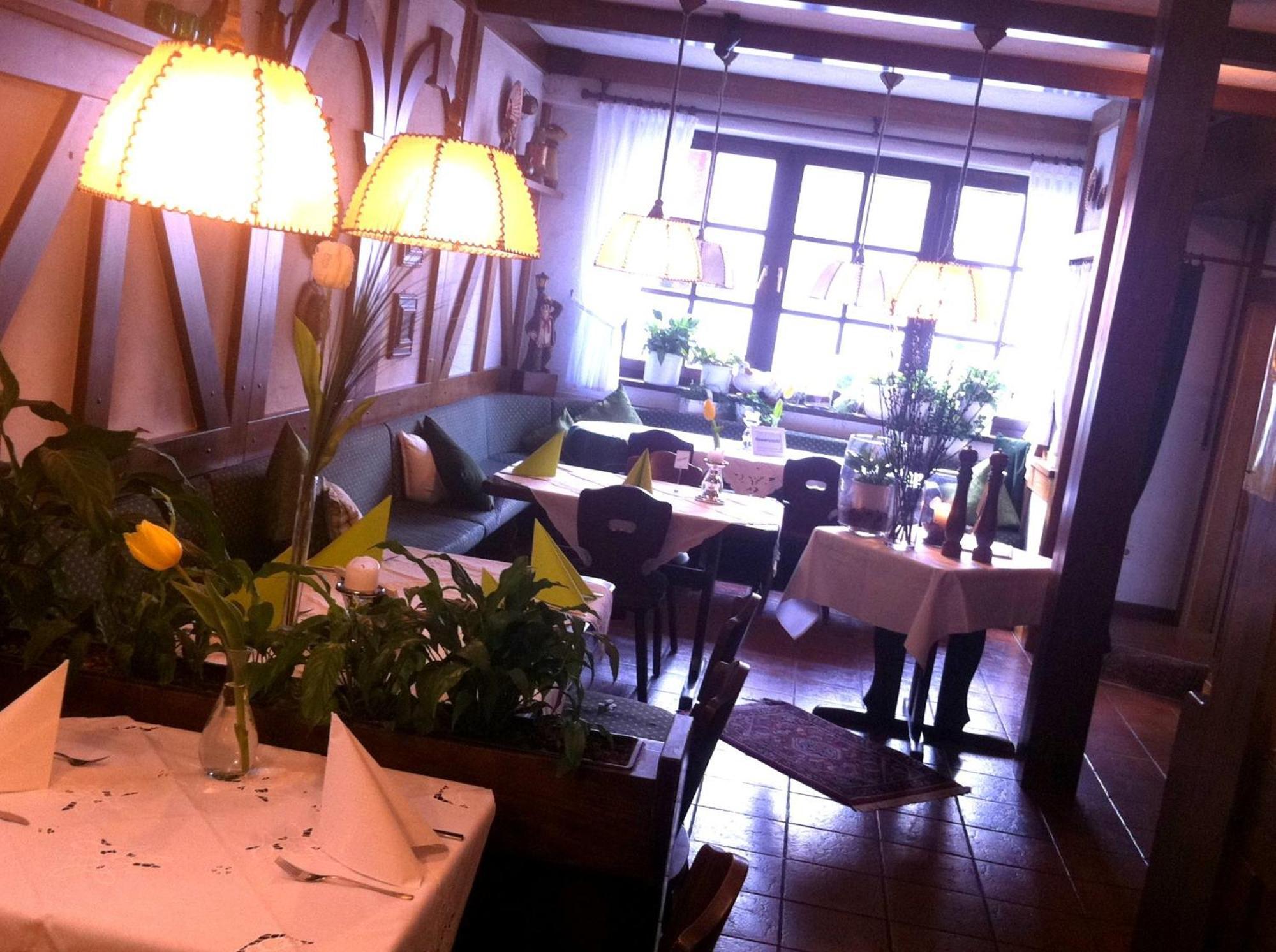 Hotel Und Restaurant -Gasthaus Zur Pfalz Hockenheim Zewnętrze zdjęcie
